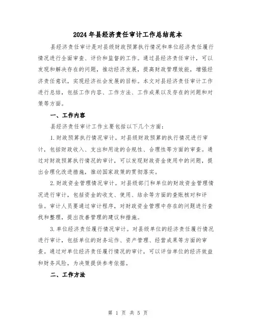2024年县经济责任审计工作总结范本(二篇)