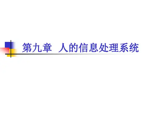 第9章 人的信息处理系统