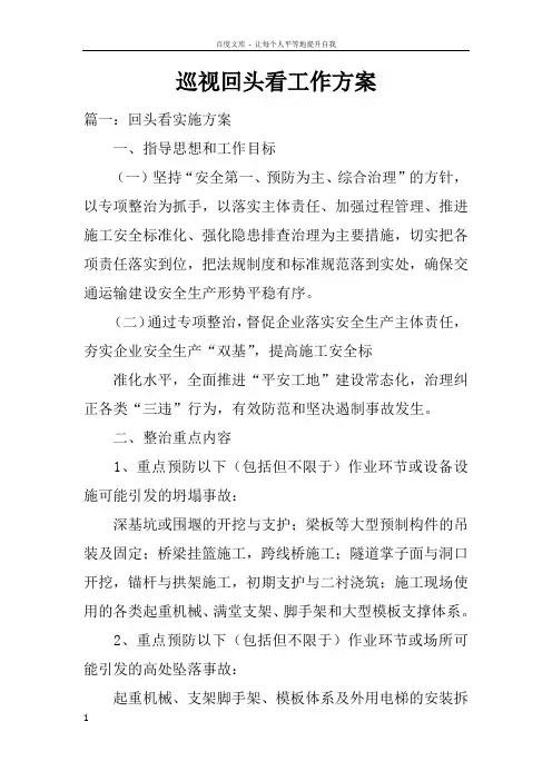 巡视回头看工作方案doc