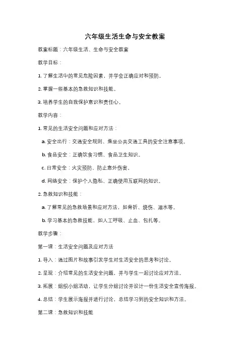 六年级生活生命与安全教案