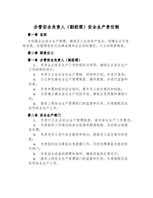 分管安全负责人(副经理)安全生产责任制