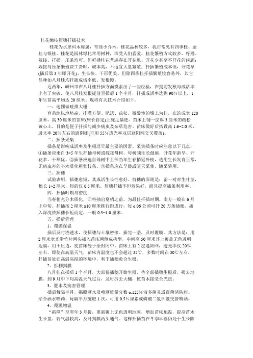 怎样掌握红叶石楠露地实用扦插技术