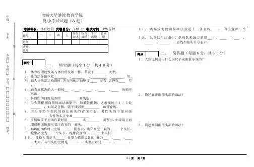 3-3体育绘图