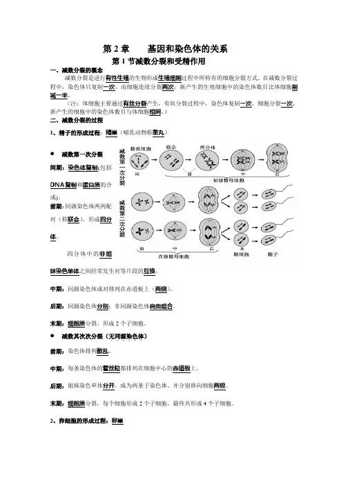 高一生物必修2第二章知识点总结
