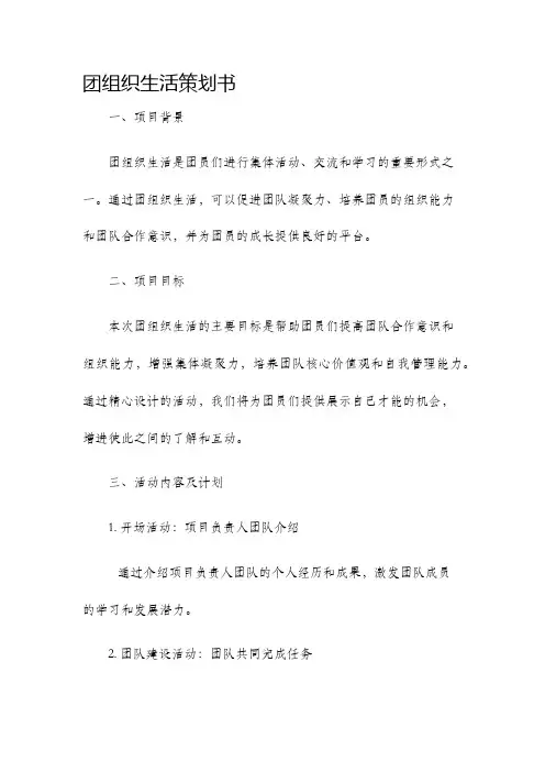 团组织生活策划书