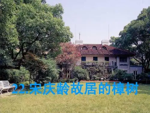 22.宋庆龄故居的樟树