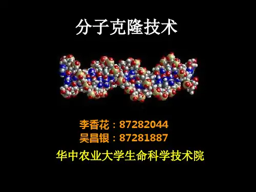 分子克隆技术