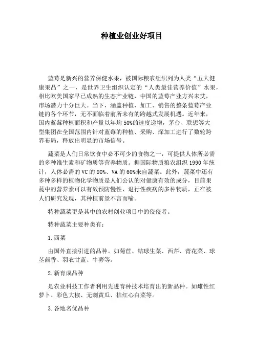 种植业创业好项目
