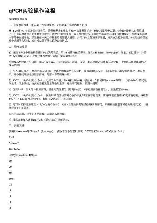 qPCR实验操作流程