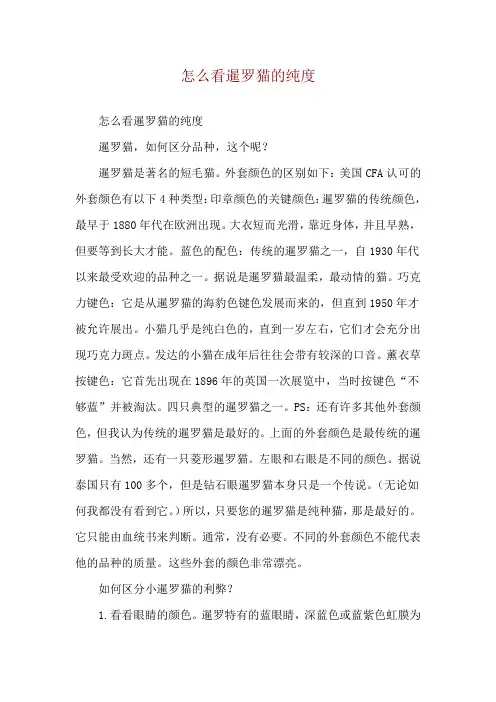 怎么看暹罗猫的纯度