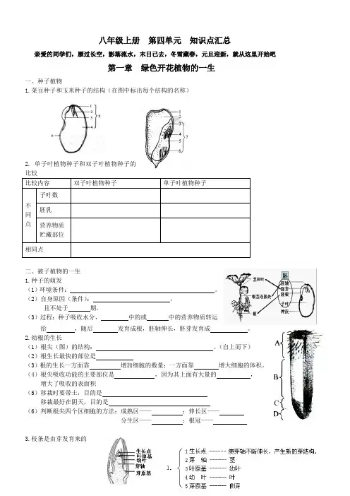 初二生物知识纲要(填空版)