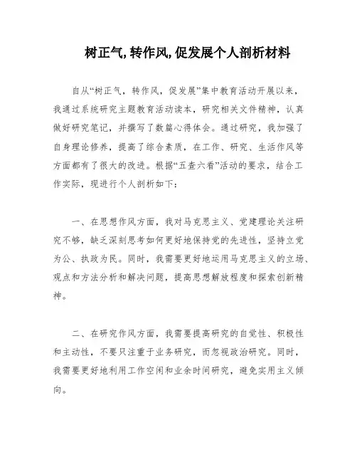树正气,转作风,促发展个人剖析材料