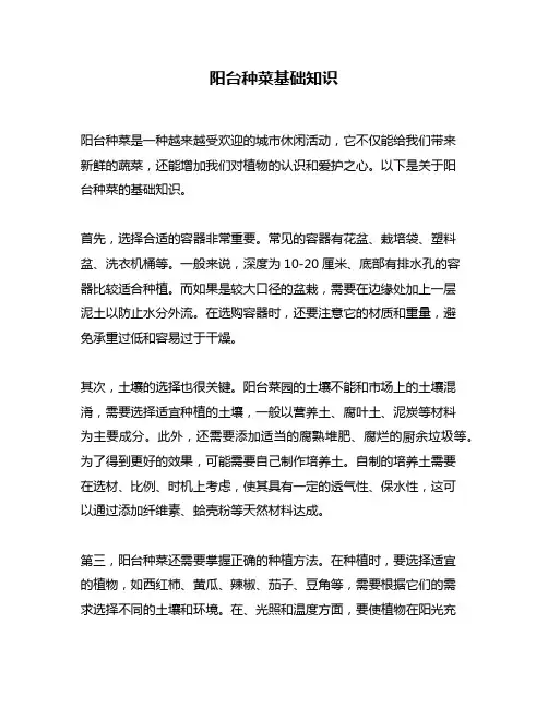 阳台种菜基础知识