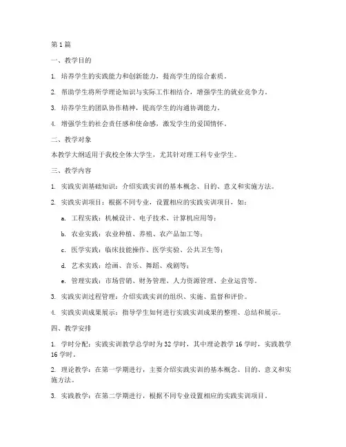 大学生实践实训教学大纲(3篇)