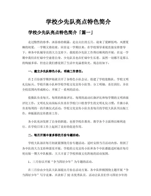 学校少先队亮点特色简介