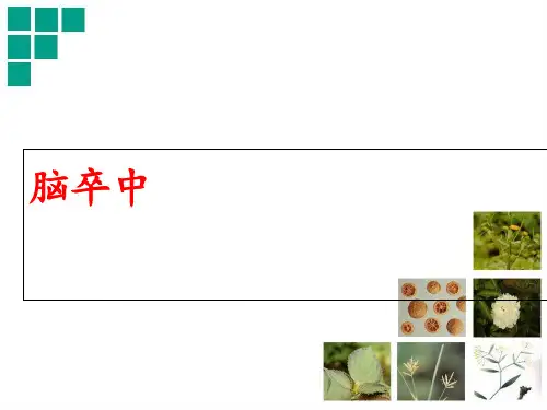 脑卒中  ppt课件