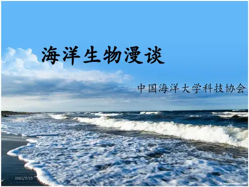 海洋生物科普知识--精品模板PPT优秀课件