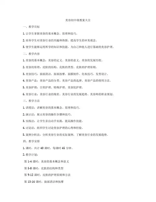 美容初中级教案大全