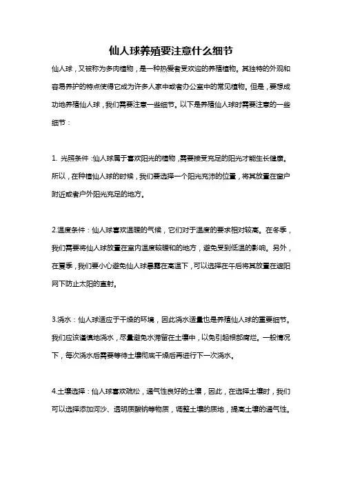 仙人球养殖要注意什么细节