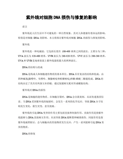 紫外线对细胞DNA损伤与修复的影响