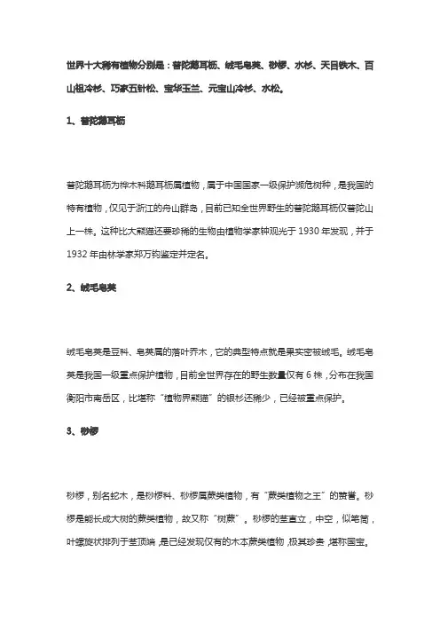 世界十大最稀有的树