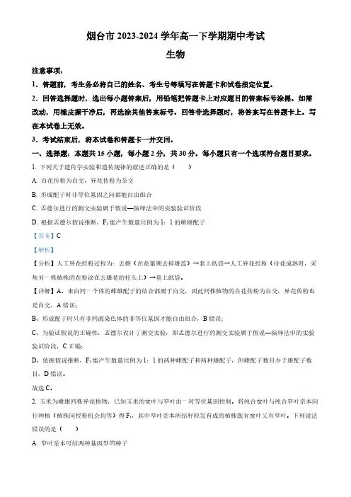 山东省烟台市2023-2024学年高一下学期期中生物试题(解析版)