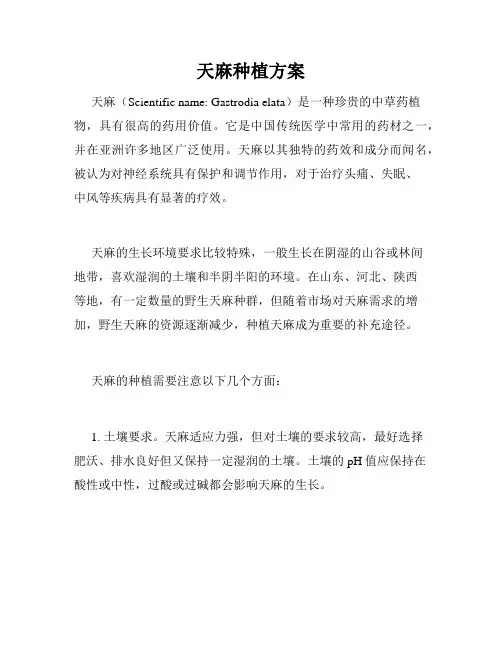 天麻种植方案