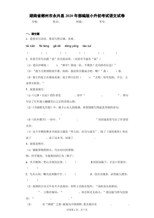 湖南省郴州市永兴县2020年部编版小升初考试语文试卷(含答案解析)