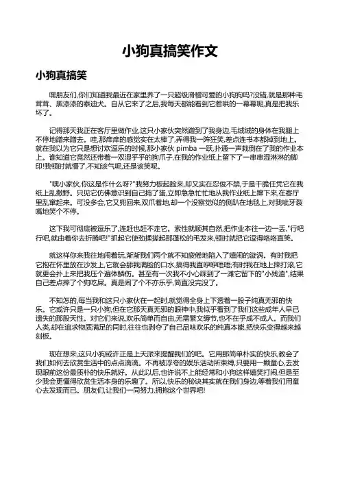 小狗真搞笑作文