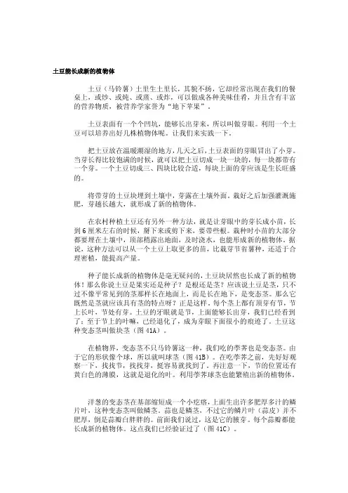3土豆能长成新的植物体