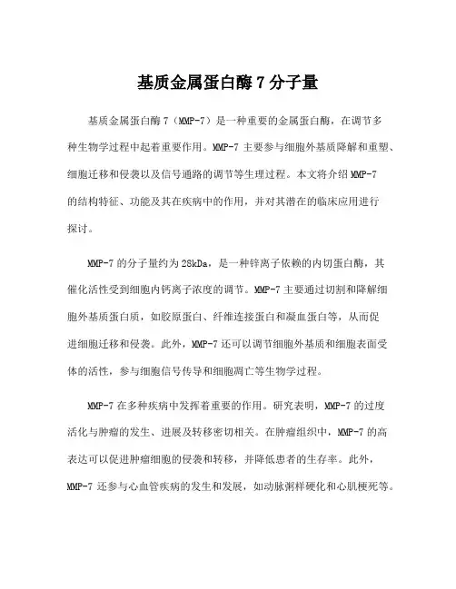 基质金属蛋白酶7分子量