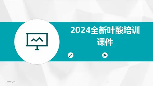 2024全新叶酸培训课件(2024)