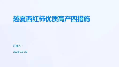 越夏西红柿优质高产四措施