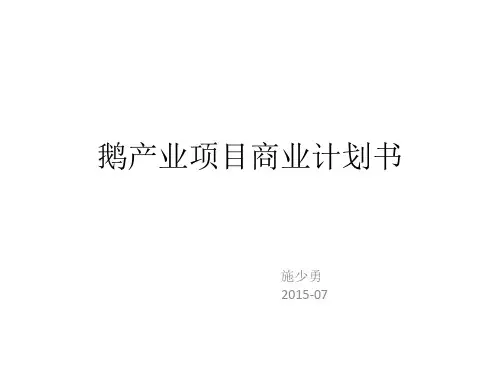 鹅项目商业计划书完整版