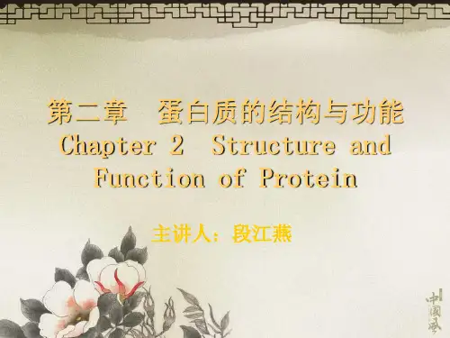 蛋白质的结构与功能.ppt