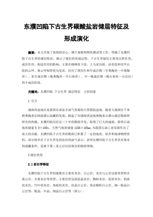 东濮凹陷下古生界碳酸盐岩储层特征及形成演化