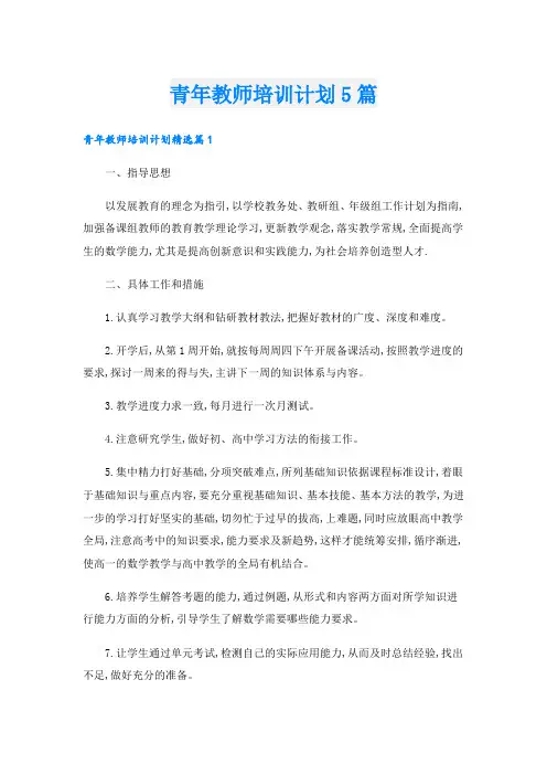 青年教师培训计划5篇