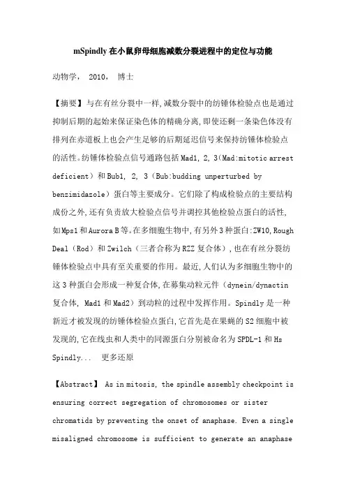 Spindly小鼠卵母细胞减数分裂博士论文