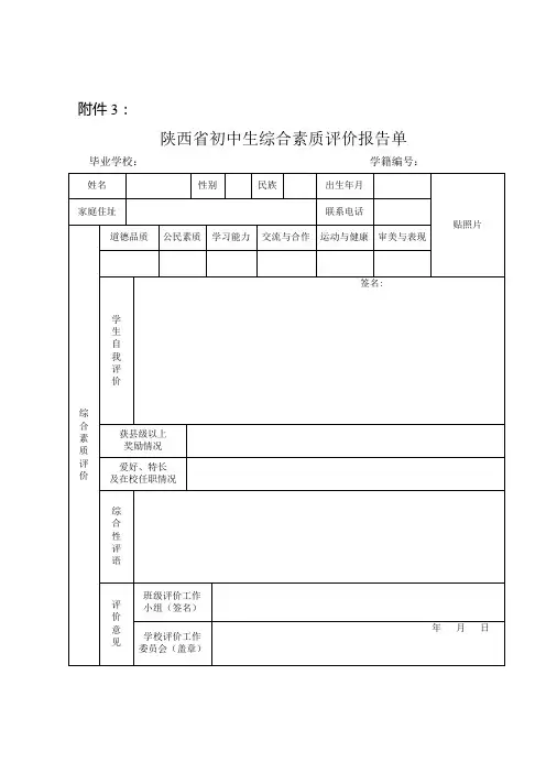 初中生综合素质报告表