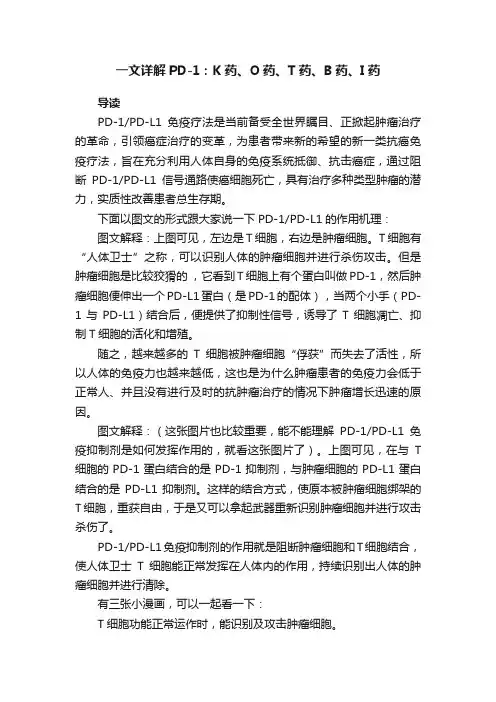 一文详解PD-1：K药、O药、T药、B药、I药
