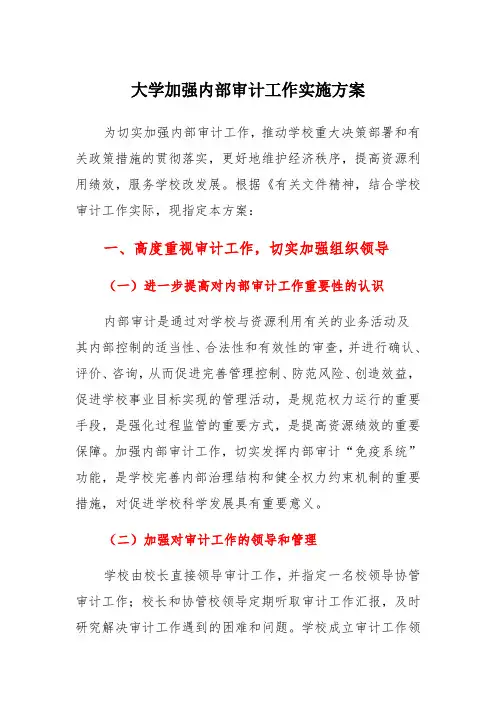 大学加强内部审计工作实施方案