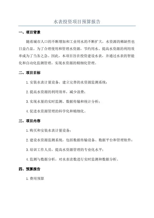 水表投资项目预算报告