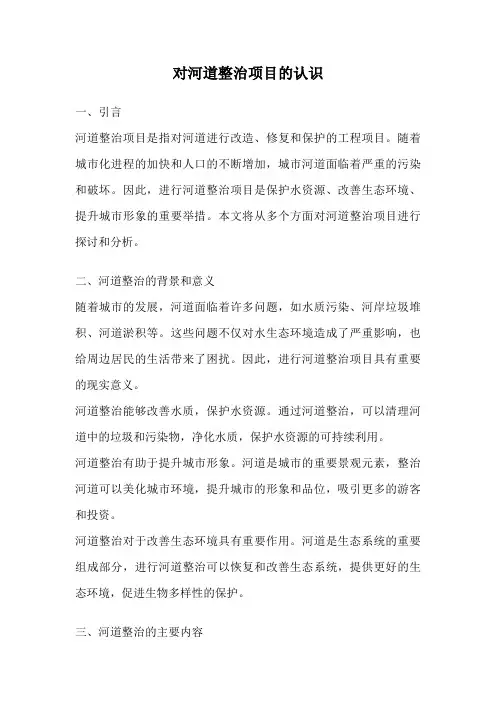 对河道整治项目的认识
