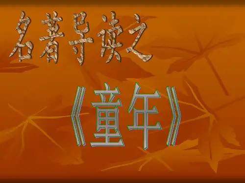 名著导读之童年PPT课件