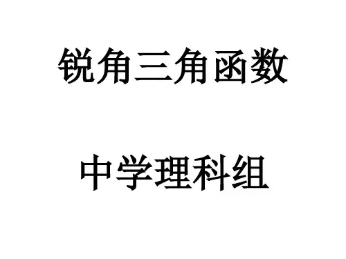锐角三角函数(复习)解析