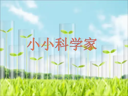 苏教版小学一年级上册科学 第一单元 走进科学 《小小科学家》名师课件
