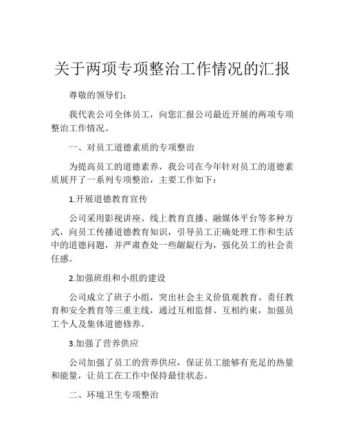 关于两项专项整治工作情况的汇报
