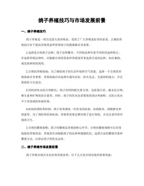 鸽子养殖技巧与市场发展前景
