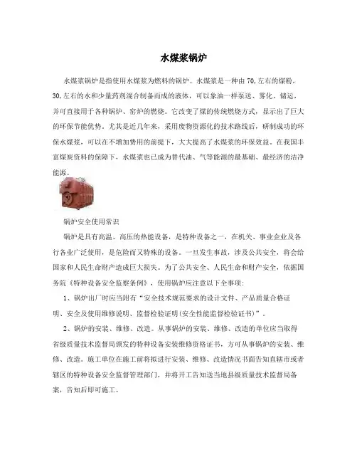 水煤浆锅炉