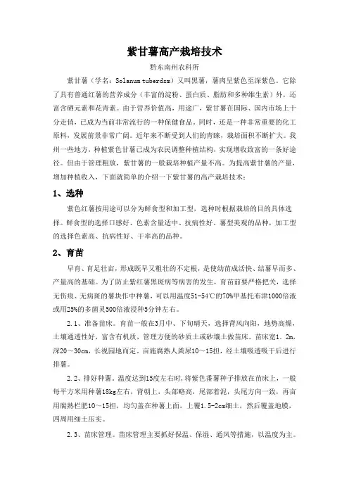 紫甘薯高产栽培技术10